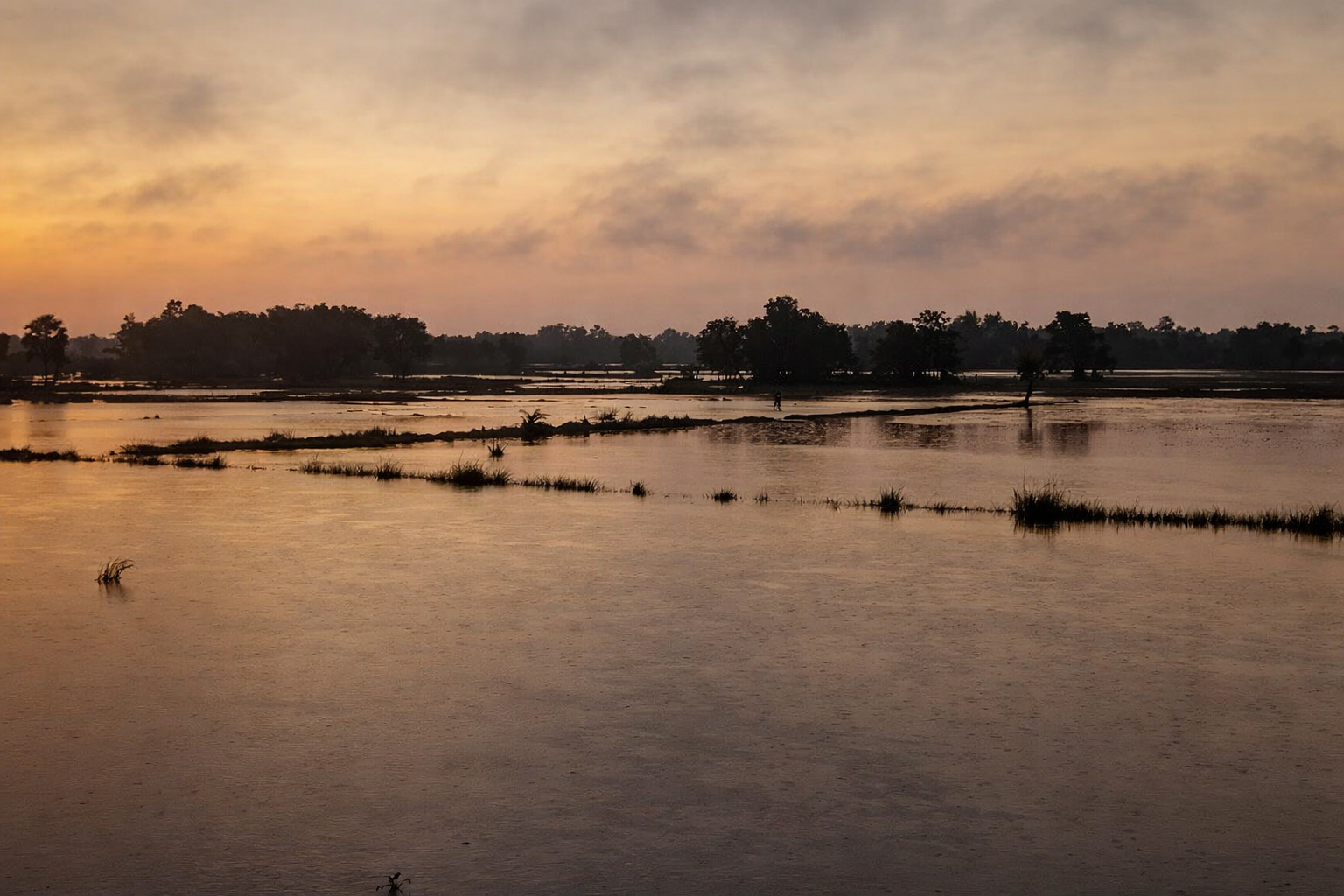 স্বর্ণালী সন্ধ্যা | মশিউর রহমান