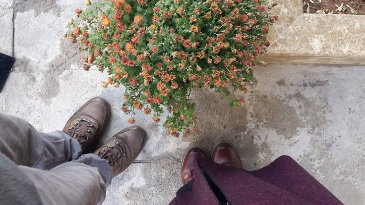 এবার হিসেব কষো | আওয়ান আফাফ এবার হিসেব কষো | আওয়ান আফাফ